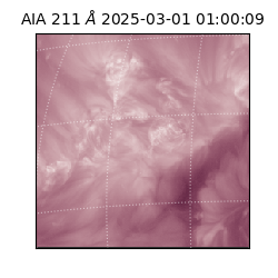 saia - 2025-03-01T01:00:09.639000