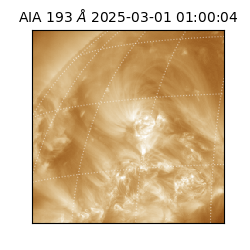 saia - 2025-03-01T01:00:04.843000