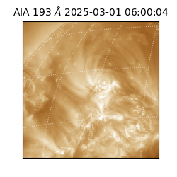 saia - 2025-03-01T06:00:04.836000