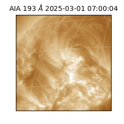 saia - 2025-03-01T07:00:04.847000