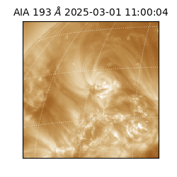 saia - 2025-03-01T11:00:04.843000