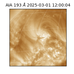 saia - 2025-03-01T12:00:04.843000