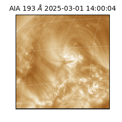 saia - 2025-03-01T14:00:04.843000