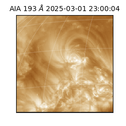 saia - 2025-03-01T23:00:04.835000