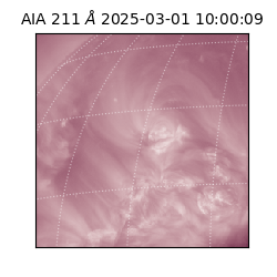 saia - 2025-03-01T10:00:09.630000