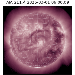 saia - 2025-03-01T06:00:09.622000