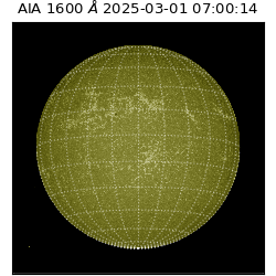 saia - 2025-03-01T07:00:14.126000