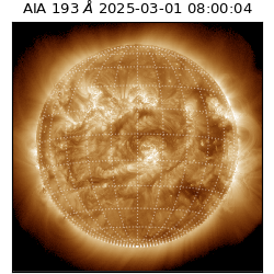 saia - 2025-03-01T08:00:04.843000