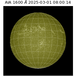saia - 2025-03-01T08:00:14.125000