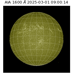 saia - 2025-03-01T09:00:14.126000