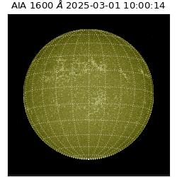 saia - 2025-03-01T10:00:14.126000