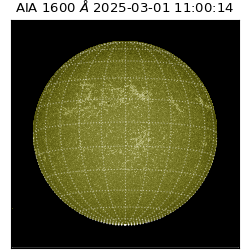 saia - 2025-03-01T11:00:14.129000