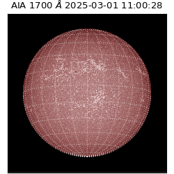 saia - 2025-03-01T11:00:28.717000