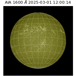 saia - 2025-03-01T12:00:14.126000