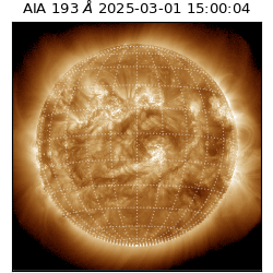 saia - 2025-03-01T15:00:04.843000