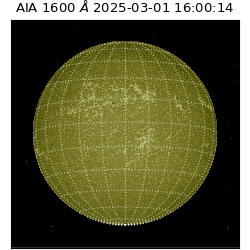 saia - 2025-03-01T16:00:14.125000