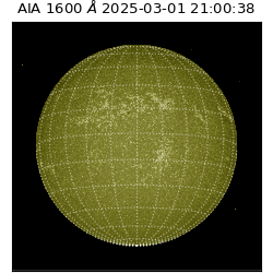 saia - 2025-03-01T21:00:38.125000