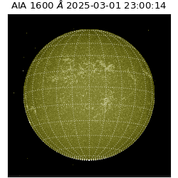 saia - 2025-03-01T23:00:14.118000