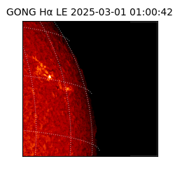 gong - 2025-03-01T01:00:42
