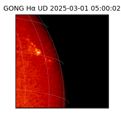 gong - 2025-03-01T05:00:02
