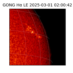 gong - 2025-03-01T02:00:42