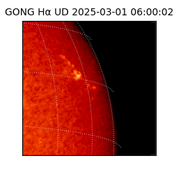 gong - 2025-03-01T06:00:02