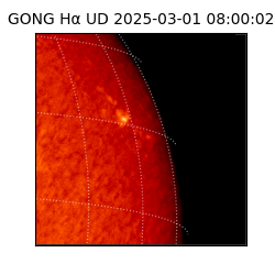 gong - 2025-03-01T08:00:02
