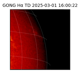 gong - 2025-03-01T16:00:22