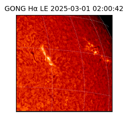 gong - 2025-03-01T02:00:42