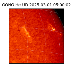 gong - 2025-03-01T05:00:02