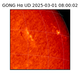 gong - 2025-03-01T08:00:02