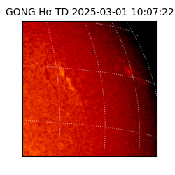 gong - 2025-03-01T10:07:22