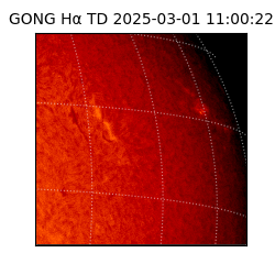 gong - 2025-03-01T11:00:22