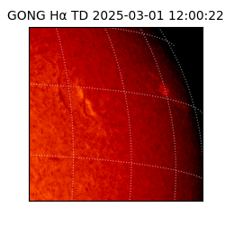 gong - 2025-03-01T12:00:22