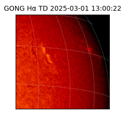 gong - 2025-03-01T13:00:22