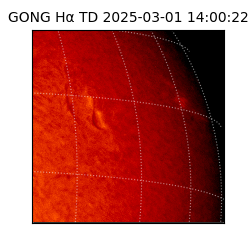 gong - 2025-03-01T14:00:22