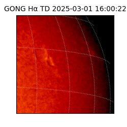 gong - 2025-03-01T16:00:22