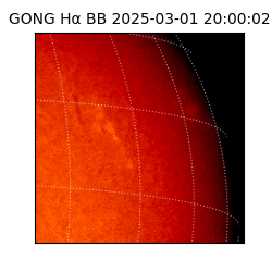 gong - 2025-03-01T20:00:02