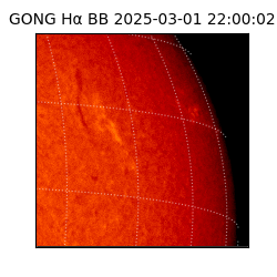 gong - 2025-03-01T22:00:02