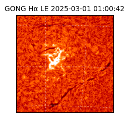 gong - 2025-03-01T01:00:42