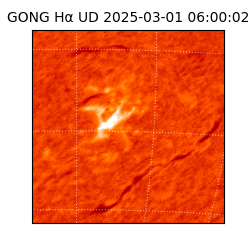 gong - 2025-03-01T06:00:02