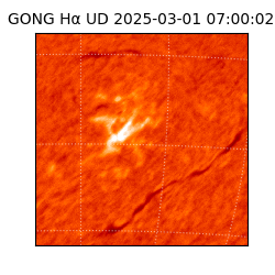 gong - 2025-03-01T07:00:02