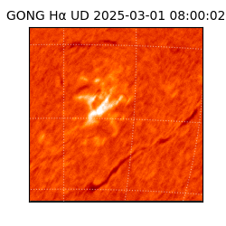 gong - 2025-03-01T08:00:02