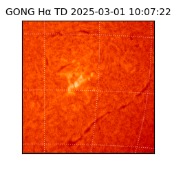 gong - 2025-03-01T10:07:22