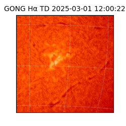 gong - 2025-03-01T12:00:22