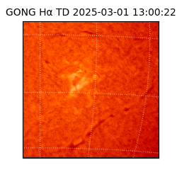 gong - 2025-03-01T13:00:22