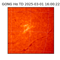 gong - 2025-03-01T16:00:22