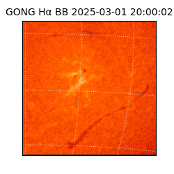 gong - 2025-03-01T20:00:02