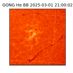 gong - 2025-03-01T21:00:02