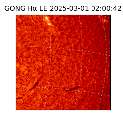 gong - 2025-03-01T02:00:42